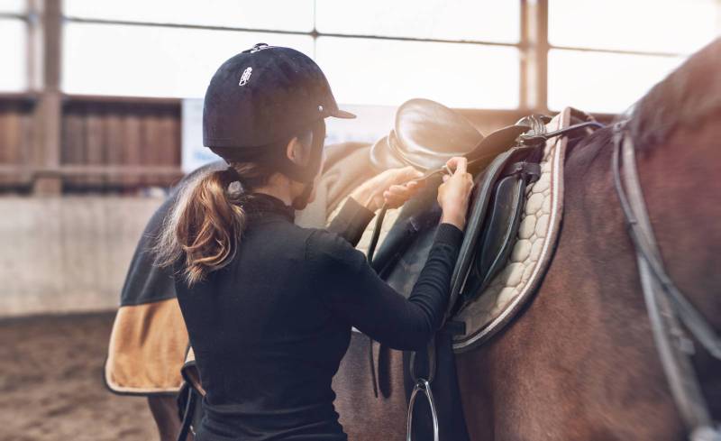 Stages et cours d’équitation