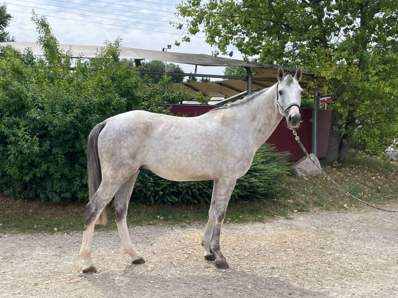 Lord de Talma