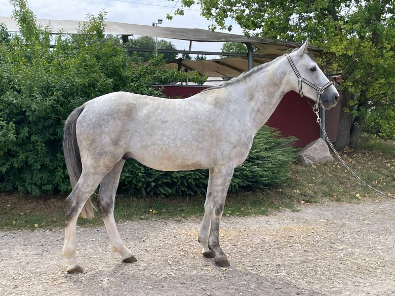 Lord de Talma