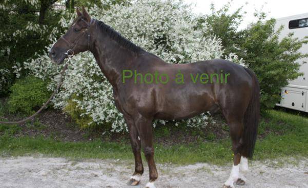 Loana Junior alias Litchi